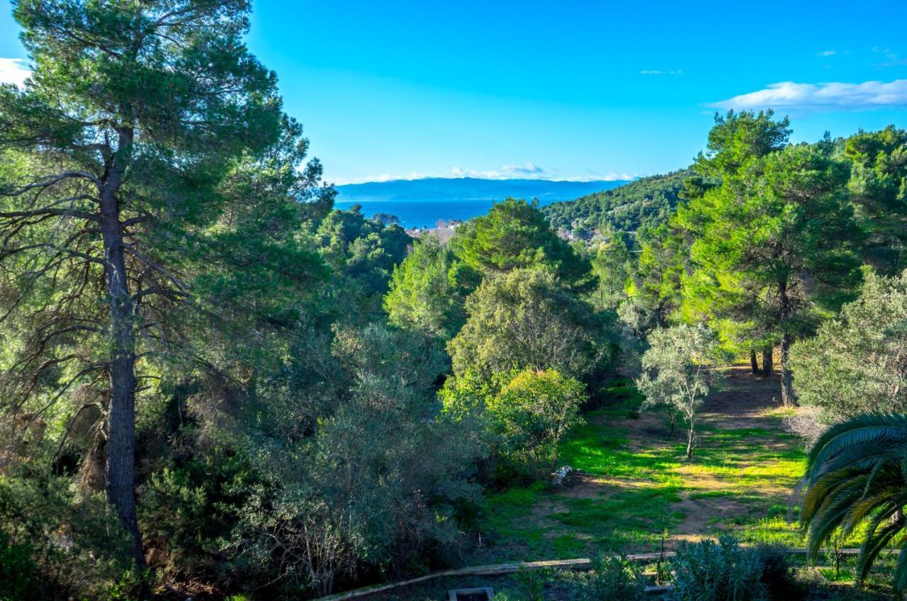 Forest Skiathos Apartment
