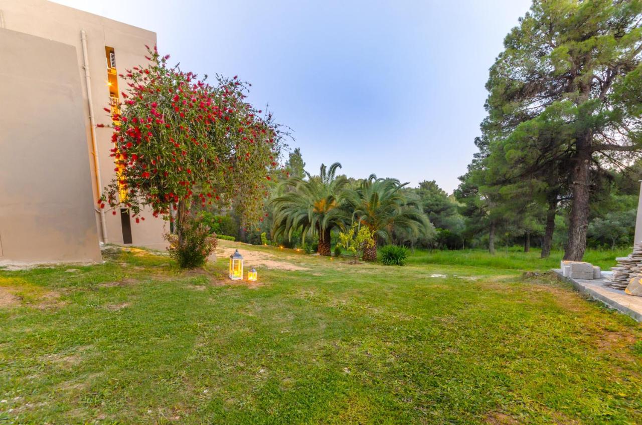 Forest Skiathos Apartment *