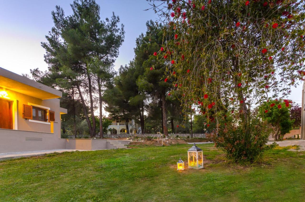 Forest Skiathos