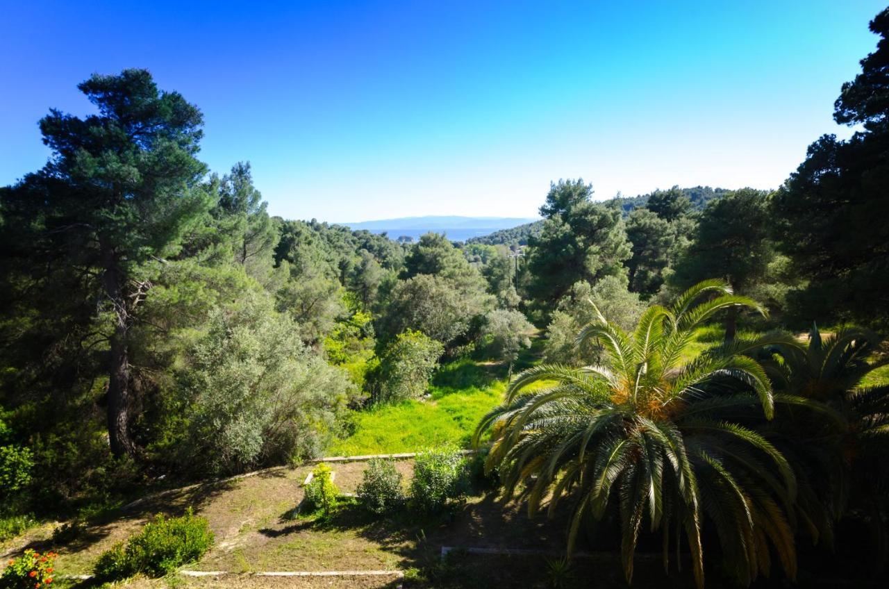 Forest Skiathos * Troulos