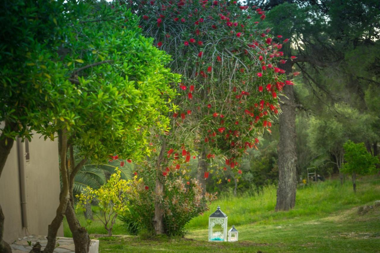 Apartment Forest Skiathos *