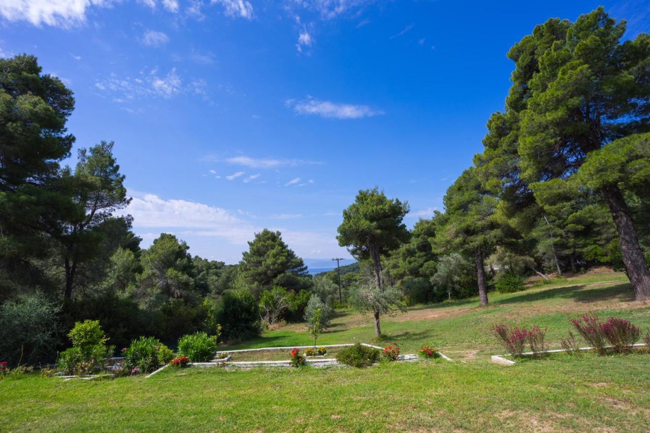 Forest Skiathos *