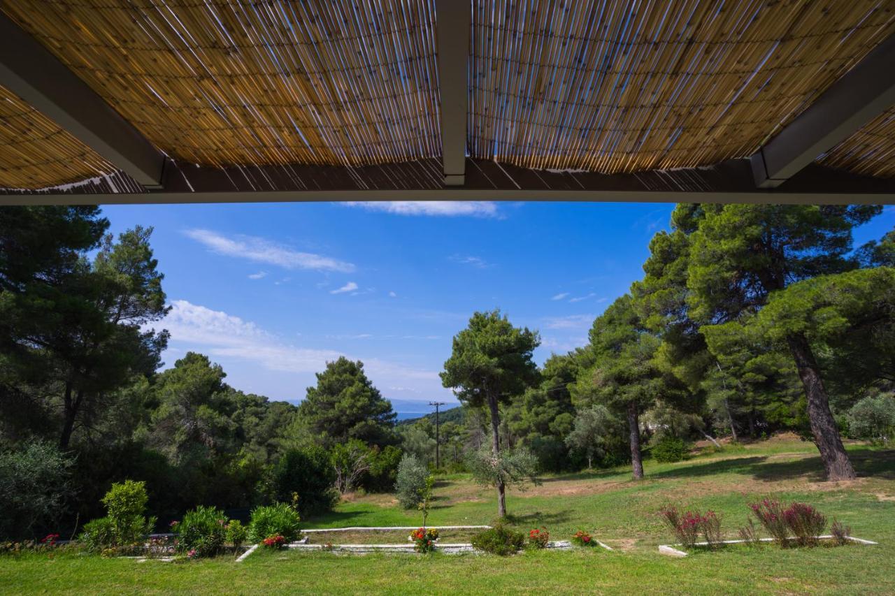 Forest Skiathos *