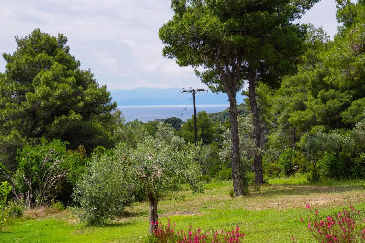 Forest Skiathos