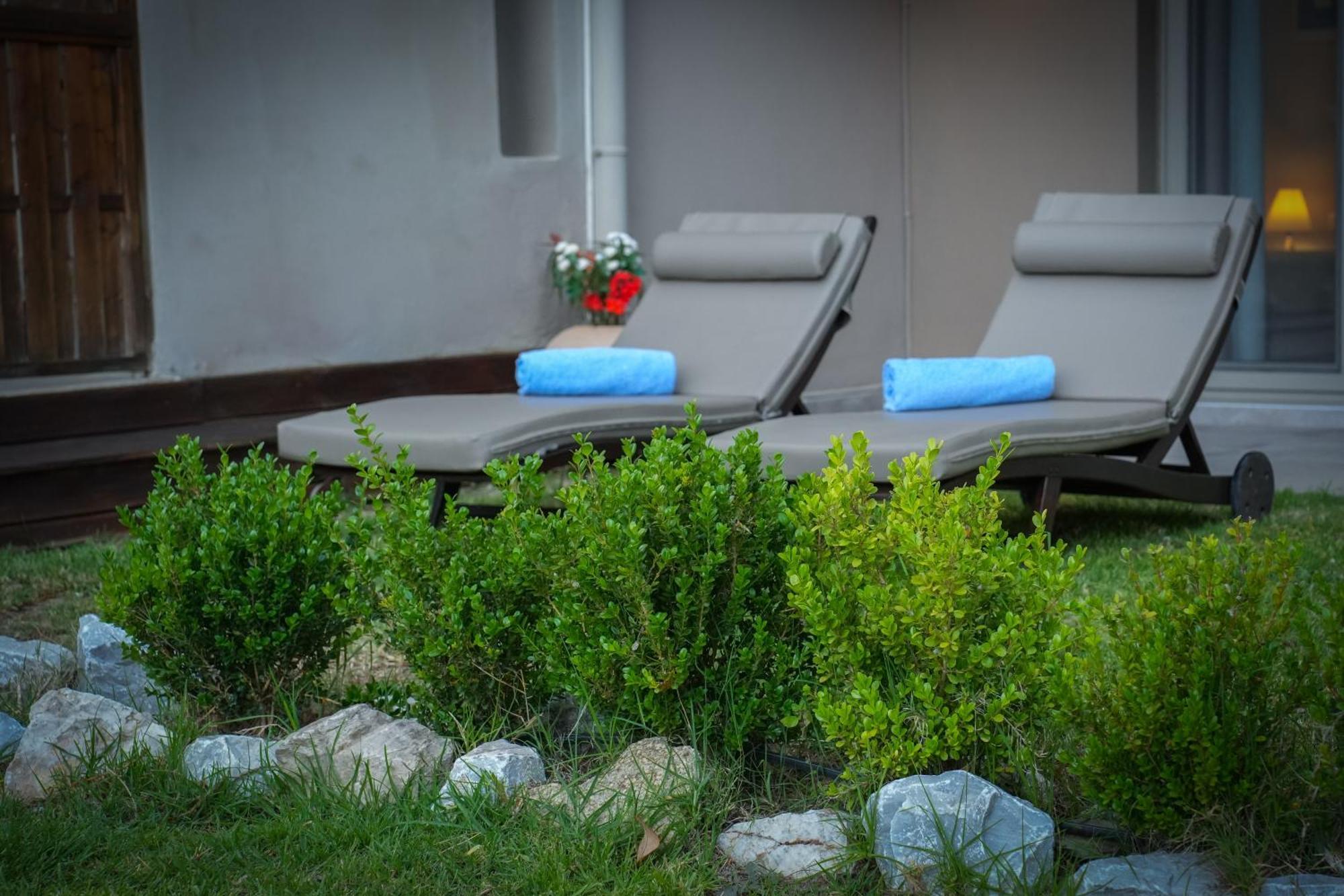 Forest Skiathos Troulos